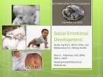 Social Emotional Development: - slide 1