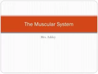 The Muscular System