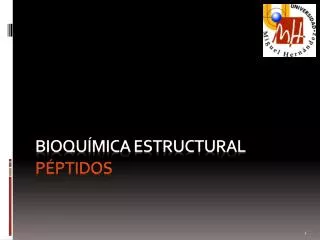 bioqu mica estructural p ptidos