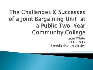 The Challenges &amp; Successes of a Joint Bargaining Unit at a Public Two-Year Community College