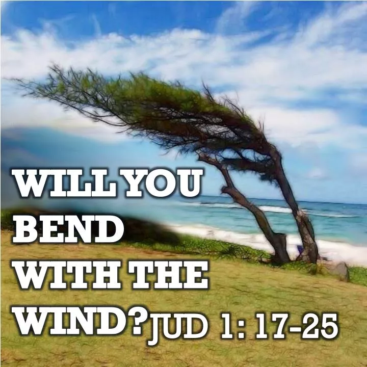 will you bend with the wind