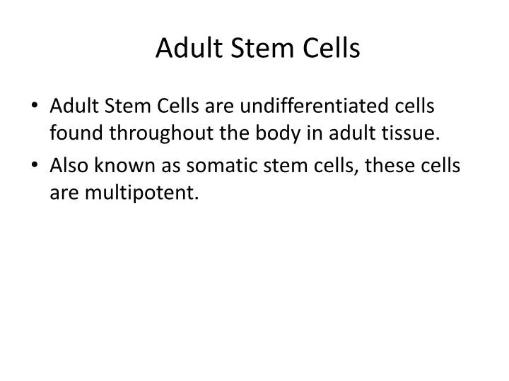 adult stem cells