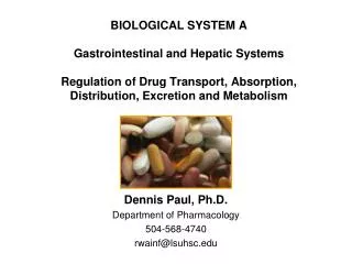 Dennis Paul, Ph.D. Department of Pharmacology 504-568-4740 rwainf@lsuhsc.edu