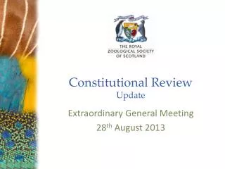 Constitutional Review Update