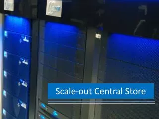 Scale-out Central Store