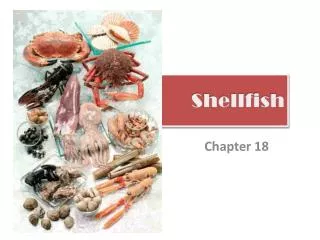 Shellfish