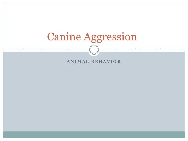 canine aggression