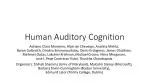 Unlocking Human Auditory Cognition: Sounds, Stimuli, and Speech - slide 1