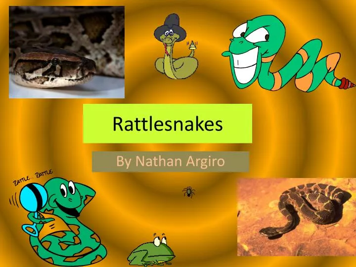 rattlesnakes
