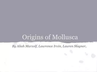 Origins of Mollusca