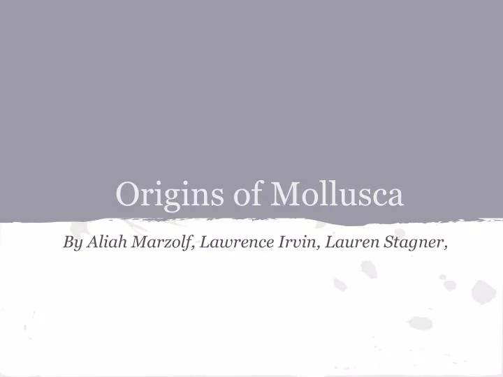 origins of mollusca