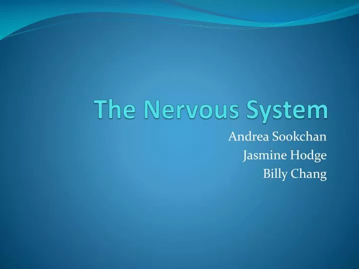 the nervous system