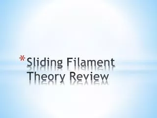 sliding filament theory review