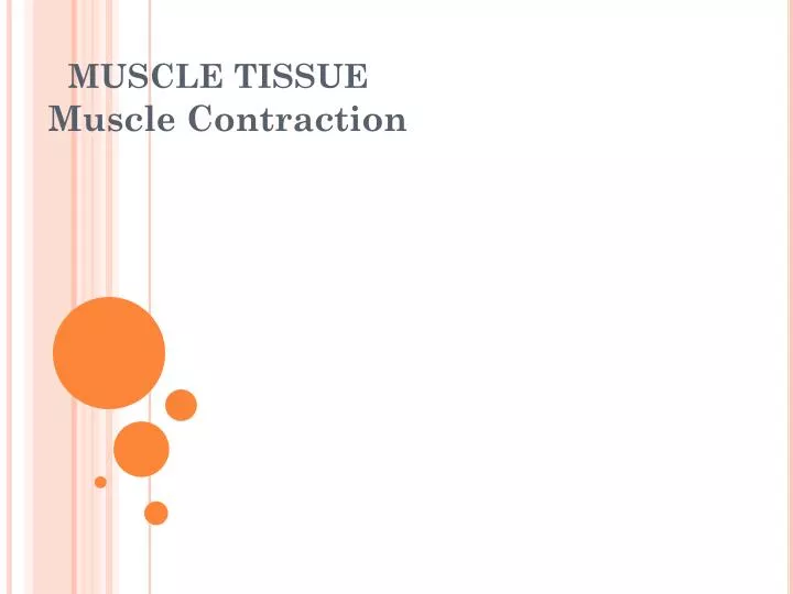 muscle tissue