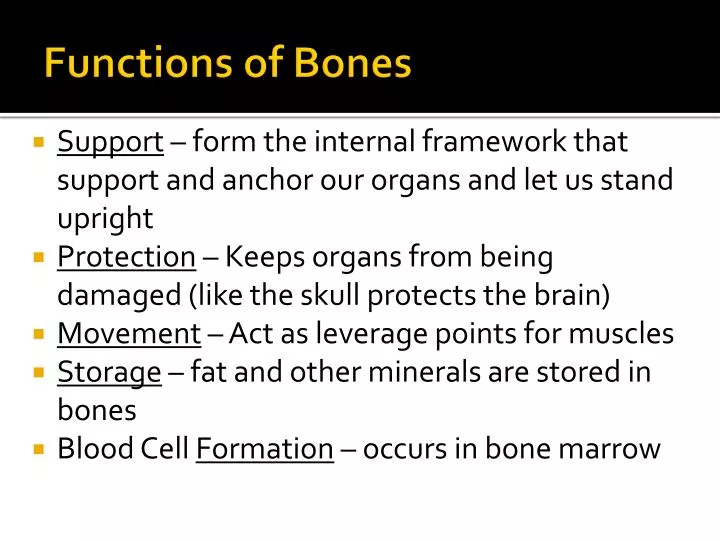 functions of bones