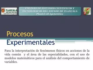 procesos experimentales