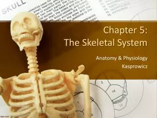 Chapter 5: The Skeletal System