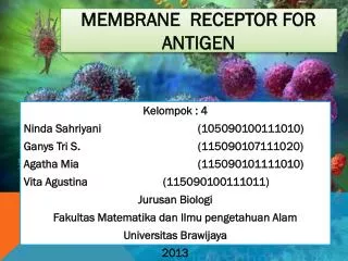 Membran e Receptor for Antigen