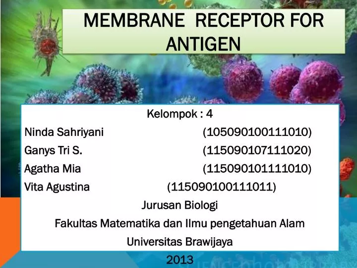 membran e receptor for antigen