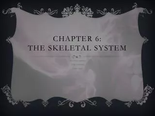 Chapter 6: The Skeletal Syste m