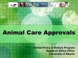 Animal Care Approvals