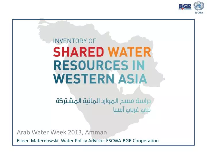 arab water week 2013 amman eileen maternowski water policy advisor escwa bgr cooperation
