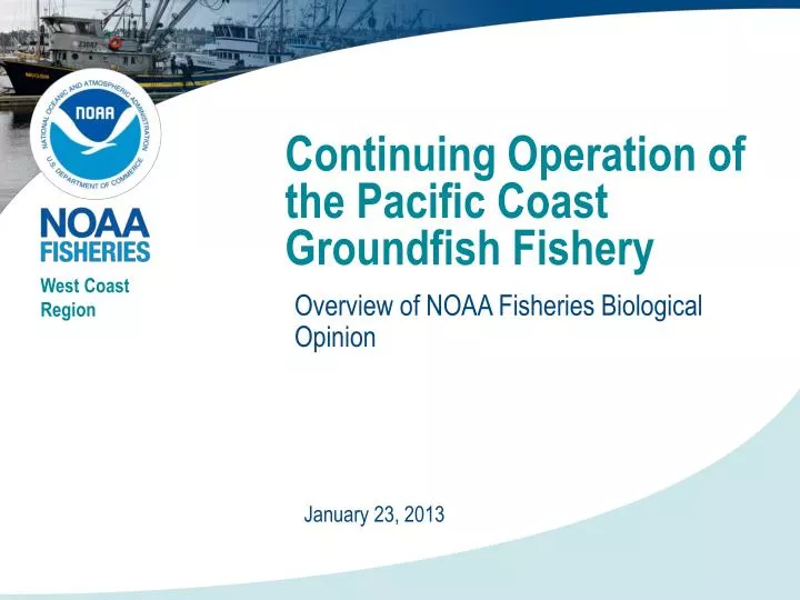 continuing operation of the pacific coast groundfish fishery