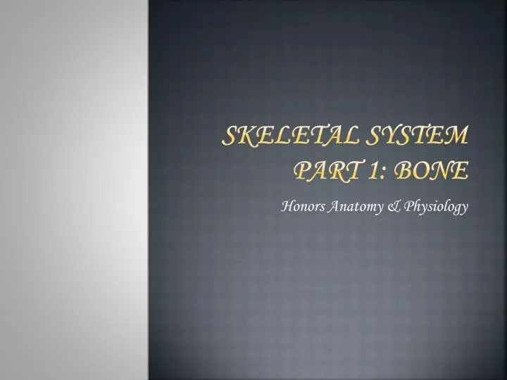 skeletal system part 1 bone