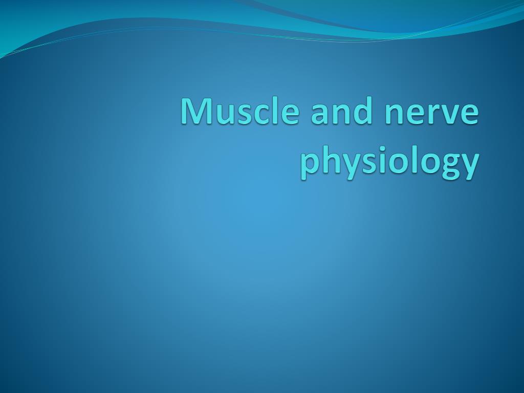PPT - Muscle and nerve physiology PowerPoint Presentation, free ...