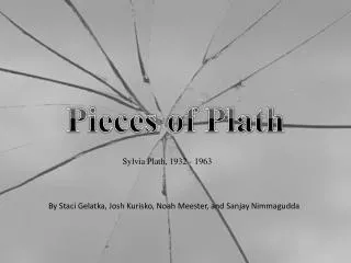 Pieces of Plath