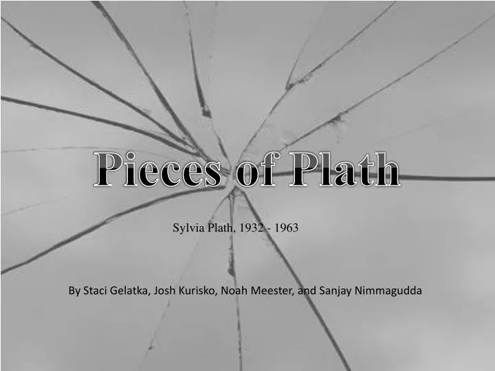 pieces of plath