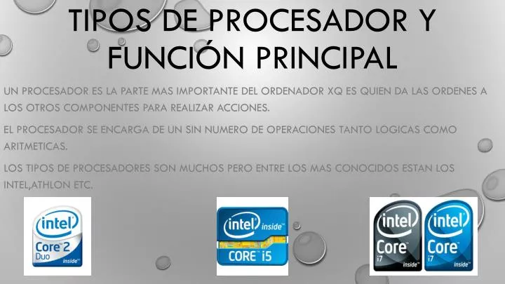 tipos de procesador y funci n principal