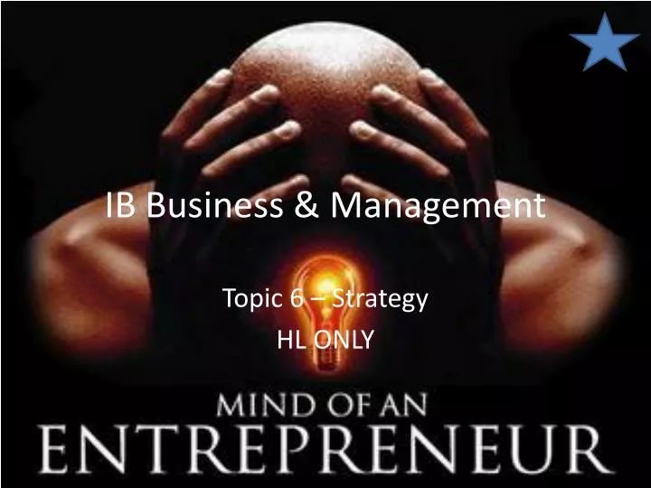 ib business management