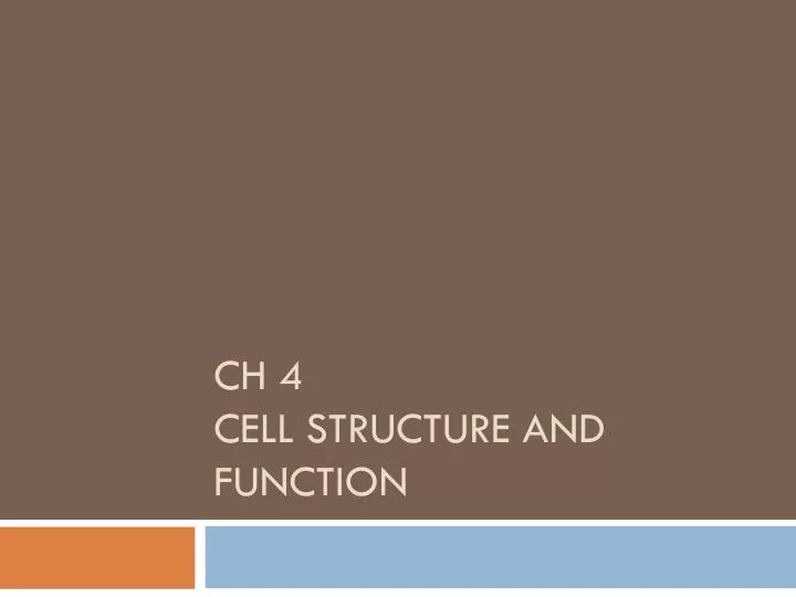 ch 4 cell structure and function