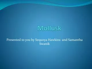 Mollusk