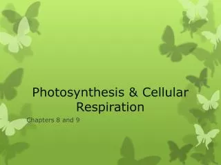 Photosynthesis &amp; Cellular Respiration