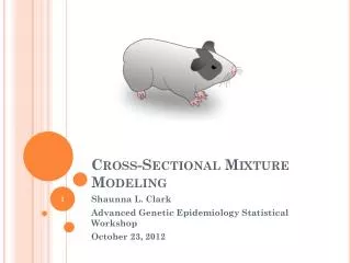 Cross-Sectional Mixture Modeling