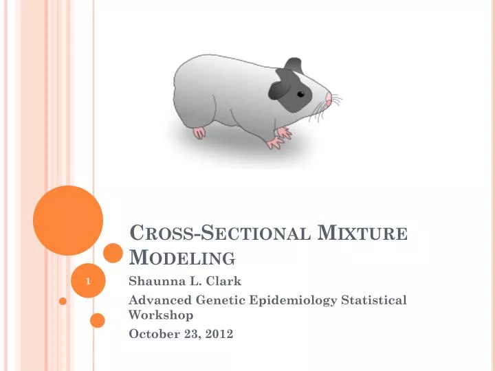 cross sectional mixture modeling