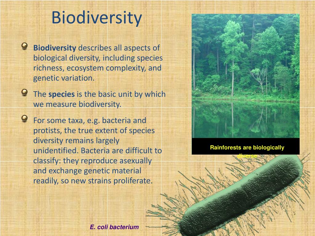 PPT - Biodiversity PowerPoint Presentation, free download - ID:2202180