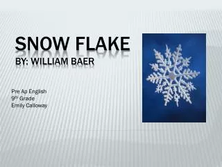 Snow Flake By: William Baer