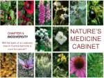 CHAPTER 9 BIODIVERSITY - slide 1