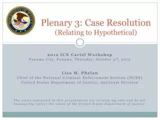 Plenary 3: Case Resolution (Relating to Hypothetical)