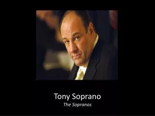 Tony Soprano The Sopranos