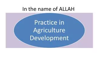 In the name of ALLAH