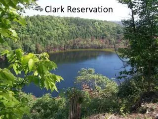 Clark Reservation