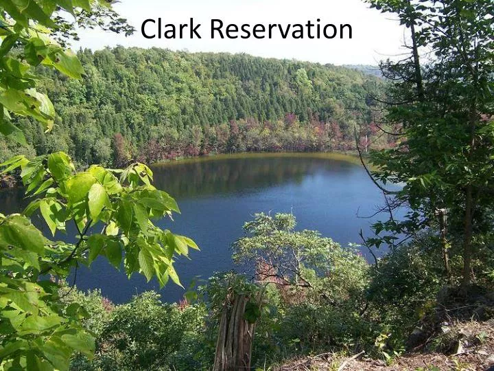 clark reservation