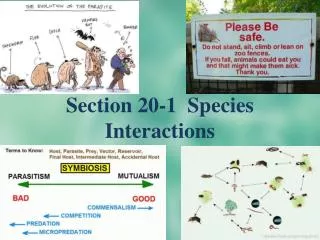 Section 20-1 Species Interactions