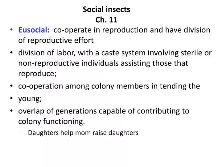 social insects ch 11