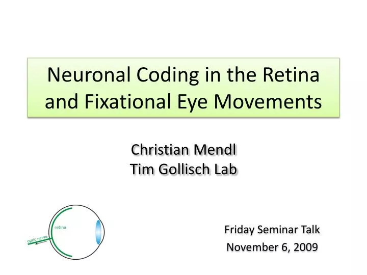 neuronal coding in the retina and fixational eye movements
