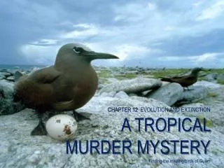 CHAPTER 12 EVOLUTION AND EXTINCTION A TROPICAL MURDER MYSTERY Finding the missing birds of Guam